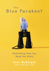 the blue parakeet