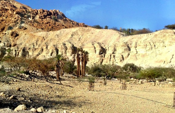 Desert of En Gedi